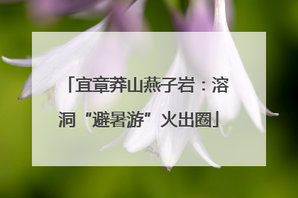 宜章莽山燕子岩：溶洞“避暑游”火出圈
