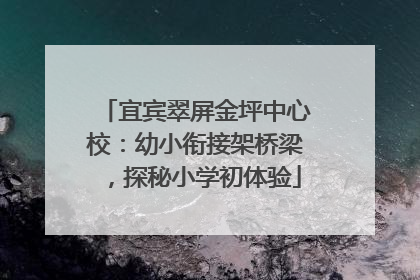 宜宾翠屏金坪中心校：幼小衔接架桥梁，探秘小学初体验