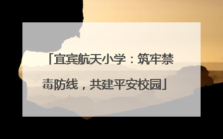 宜宾航天小学：筑牢禁毒防线，共建平安校园