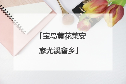 宝岛黄花菜安家尤溪畲乡