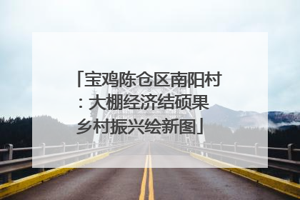 宝鸡陈仓区南阳村：大棚经济结硕果 乡村振兴绘新图