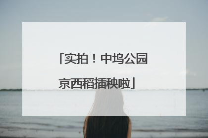 实拍！中坞公园京西稻插秧啦
