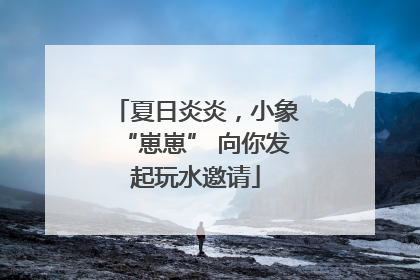 夏日炎炎，小象“崽崽” 向你发起玩水邀请