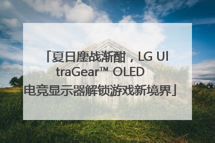 夏日鏖战渐酣，LG UltraGear™ OLED电竞显示器解锁游戏新境界