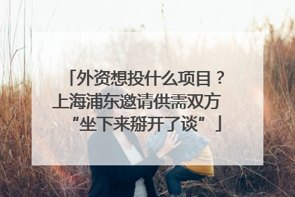 外资想投什么项目？上海浦东邀请供需双方“坐下来掰开了谈”