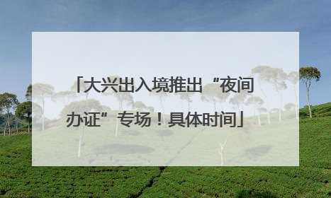 大兴出入境推出“夜间办证”专场！具体时间