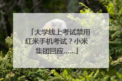 大学线上考试禁用红米手机考试？小米集团回应……