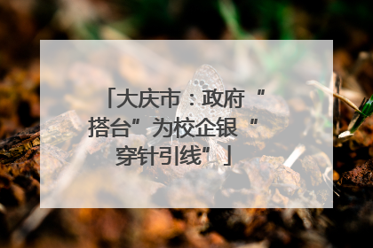 大庆市：政府“搭台”为校企银“穿针引线”