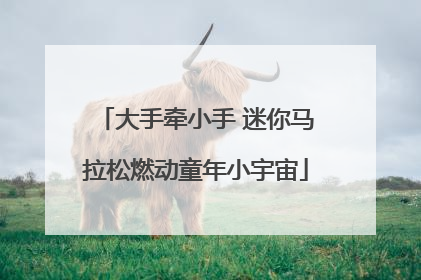 大手牵小手 迷你马拉松燃动童年小宇宙