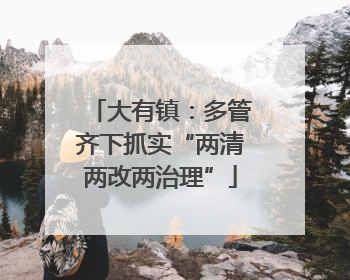 大有镇：多管齐下抓实“两清两改两治理”