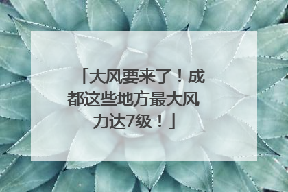 大风要来了！成都这些地方最大风力达7级！