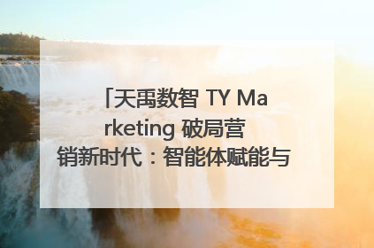 天禹数智 TY Marketing 破局营销新时代：智能体赋能与人才培育双轮驱动