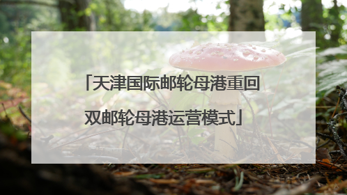 天津国际邮轮母港重回双邮轮母港运营模式