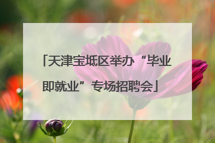 天津宝坻区举办“毕业即就业”专场招聘会