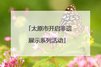 太原市开启非遗展示系列活动