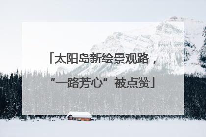 太阳岛新绘景观路，“一路芳心”被点赞