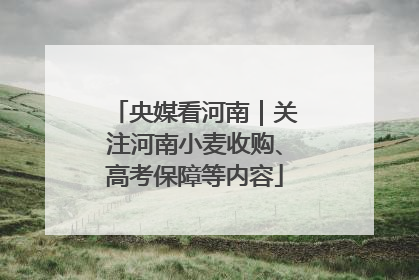 央媒看河南｜关注河南小麦收购、高考保障等内容