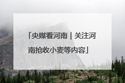 央媒看河南｜关注河南抢收小麦等内容