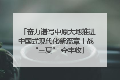 奋力谱写中原大地推进中国式现代化新篇章丨战“三夏” 夺丰收