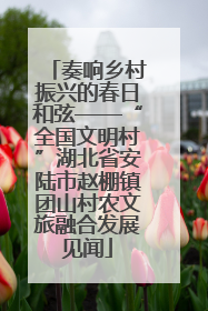 奏响乡村振兴的春日和弦——“全国文明村”湖北省安陆市赵棚镇团山村农文旅融合发展见闻