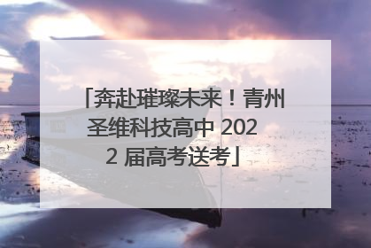 奔赴璀璨未来！青州圣维科技高中 2022 届高考送考