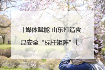 媒体赋能 山东打造食品安全“标杆矩阵”