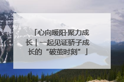心向暖阳·聚力成长｜一起见证骄子成长的“破茧时刻”