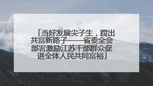 当好发展尖子生，蹚出共富新路子——省委全会部署激励江苏干部群众促进全体人民共同富裕