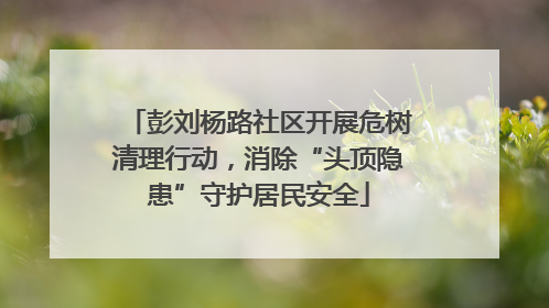 彭刘杨路社区开展危树清理行动，消除“头顶隐患”守护居民安全