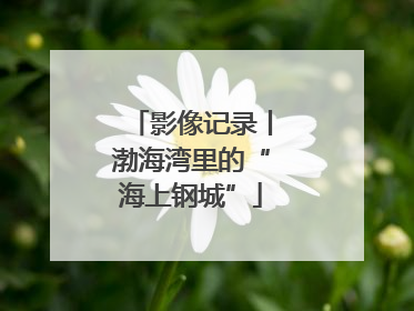 影像记录丨渤海湾里的“海上钢城”