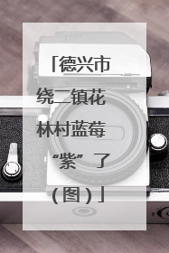 德兴市绕二镇花林村蓝莓“紫”了（图）