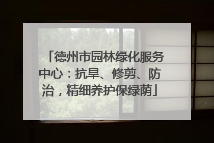 德州市园林绿化服务中心：抗旱、修剪、防治，精细养护保绿荫