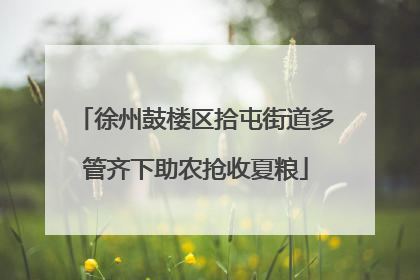 徐州鼓楼区拾屯街道多管齐下助农抢收夏粮