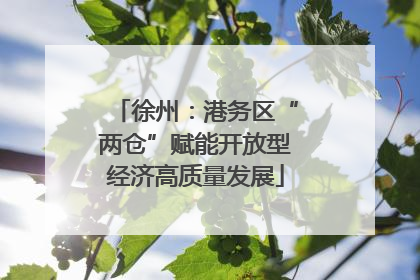 徐州：港务区“两仓”赋能开放型经济高质量发展