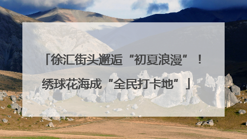 徐汇街头邂逅“初夏浪漫”！绣球花海成“全民打卡地”