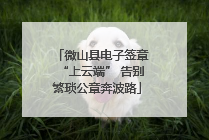 微山县电子签章“上云端” 告别繁琐公章奔波路