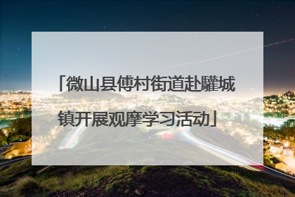 微山县傅村街道赴驩城镇开展观摩学习活动