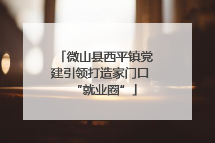微山县西平镇党建引领打造家门口“就业圈”