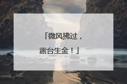 微风拂过，露台生金！