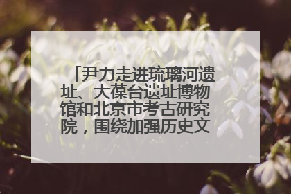 尹力走进琉璃河遗址、大葆台遗址博物馆和北京市考古研究院，围绕加强历史文化名城保护调研