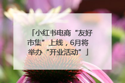 小红书电商“友好市集”上线，6月将举办“开业活动”