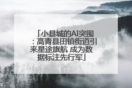 小县城的AI突围：高青县田镇街道引来星途旗航 成为数据标注先行军
