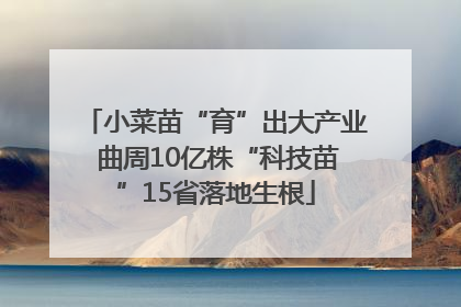 小菜苗“育”出大产业 曲周10亿株“科技苗”15省落地生根