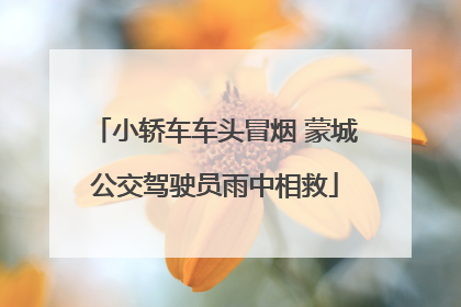 小轿车车头冒烟 蒙城公交驾驶员雨中相救