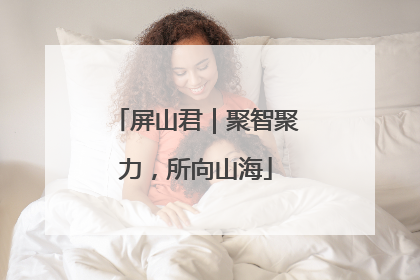 屏山君｜聚智聚力，所向山海