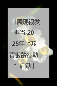 展现银发担当 2025年“苏青银龄行动”启动