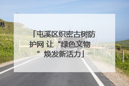 屯溪区织密古树防护网 让“绿色文物”焕发新活力