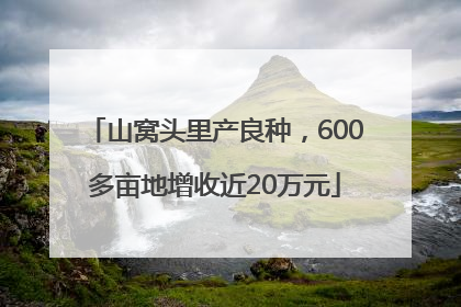 山窝头里产良种，600多亩地增收近20万元