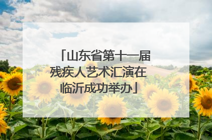 山东省第十一届残疾人艺术汇演在临沂成功举办