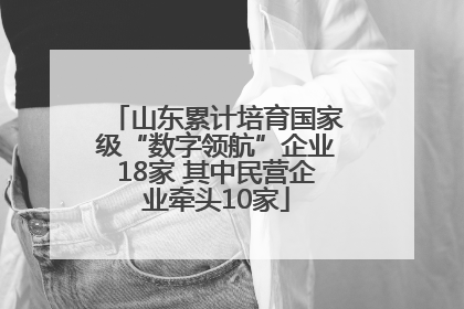 山东累计培育国家级“数字领航”企业18家 其中民营企业牵头10家